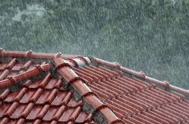 Rain water harvesting system